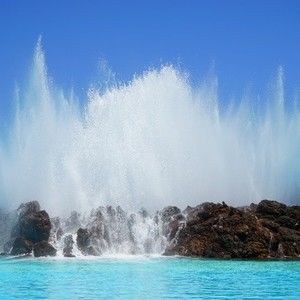 Meet your Posher, Jeffrey